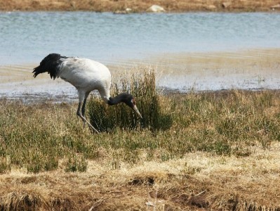 浙江医保个人账户提现攻略：哪些情况可提取？如何操作？