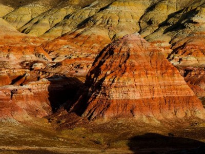警惕“花呗套花呗”陷阱！违规操作风险大 合规周转看安出掌柜