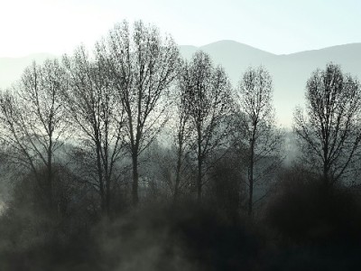 花呗套了别慌！出财小神教你合规还款+信用修复攻略