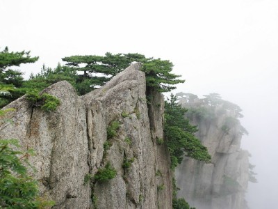 抖音月付标志成商家增单利器？出财小神助力中小店生意更"好付"