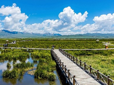 5000花呗周转别冒险！出财小神合规代付安全新方案