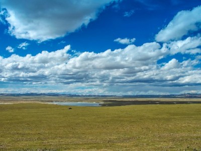 白条分期别违规！这5个平台教你合规用信更安心