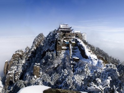 商家不还白条分期？揭秘消费分期背后的资金流向与责任误区