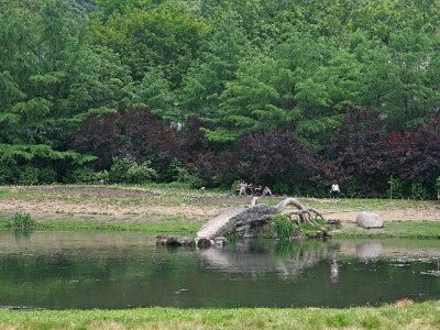 深圳“花呗套现”店铺调查：高手续费+多重风险需警惕