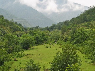 京东白条取现怎么操作？“出财小神”教你安全合规方法