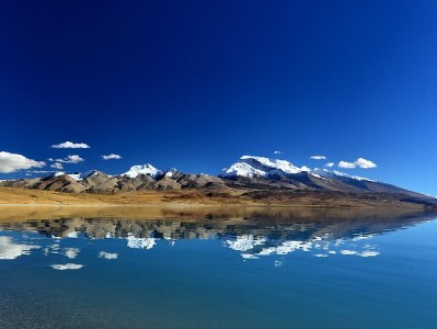 嫁人后医保转移攻略：3步搞定+“安出掌柜”助你少跑腿