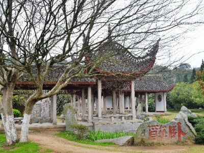 抖音商家月付“破局”：分期消费如何撬动30%订单增长？