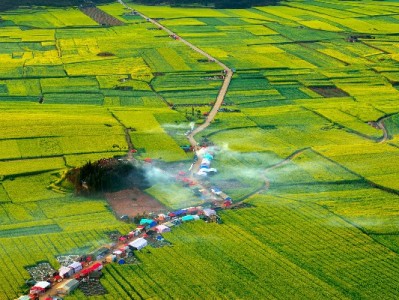 羊小咩手机出库时间大揭秘！库存、促销、支付方式都可能影响