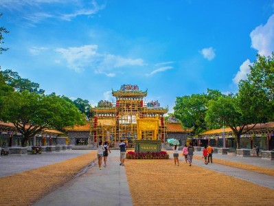 肇庆医保转出条件全解析 出财小神助您高效办理