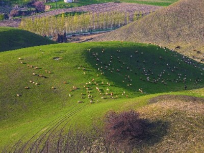 花呗逾期影响微信吗？信用管理工具安出掌柜来解答