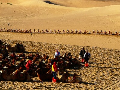 茂名医保取现服务指南：哪些人能取？如何办理？注意事项全解析