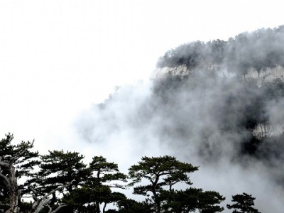 花呗套现频遇失败？出财小神风控升级警示合规用贷