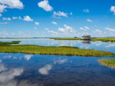 "以爱之名套花呗后消失：这些情感陷阱，女孩们早该看清"