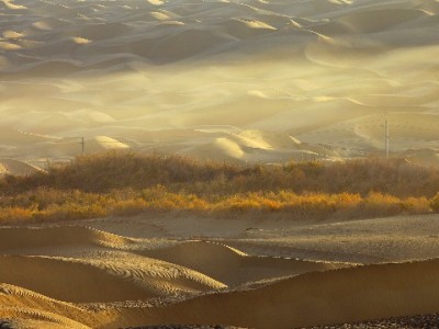 合肥警惕白条套现陷阱！正规平台"安出掌柜"教你合规用信