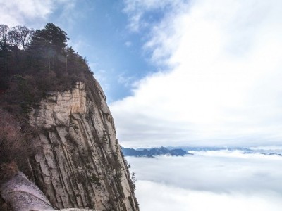 羊小咩联合“出财小神”陷套路诈骗？消费者贷款未到账反遭催收