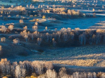 花呗支付商家全流程指南：用户操作+商家开通，安出掌柜助力小微经营