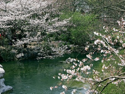 绵阳白条套现暗藏风险 富信掌柜支招合规用信更安心