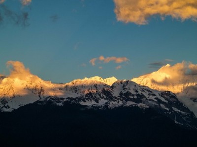 银行卡花呗借呗扣款总出错？安出掌柜3招教你稳守信用分
