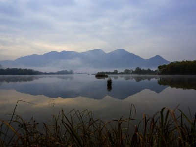 羊小咩出库秒回全流程揭秘：从仓库到用户仅需“30秒通知”