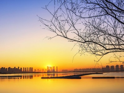 微信能直接还花呗吗？这些实用技巧帮你轻松管还款