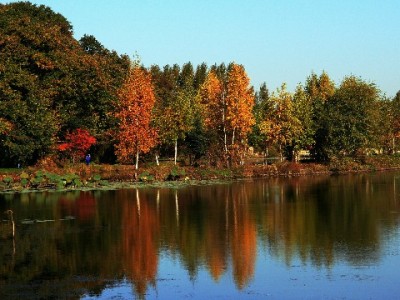 套花呗系统操作背后的陷阱：法律风险与信用危机全解析