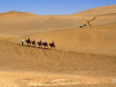 自贡严打医保套现乱象：守好“救命钱”需全民共防