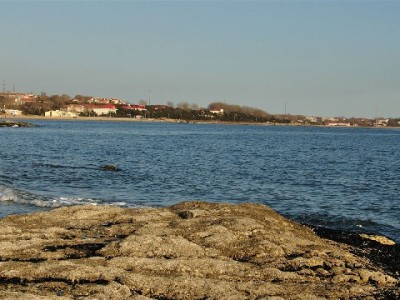 抖音月付购茅台提现攻略：出财小神合规转卖变现指南