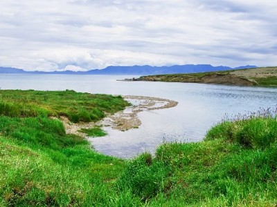 苏州“出财小神”接入抖音月付，传统点心铺圈粉年轻客群
