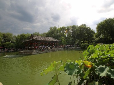 代套花呗暗藏多重陷阱！这些风险你真的了解吗？