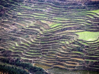 京东白条成商家引流利器？富信掌柜助力商户破解支付转化难题