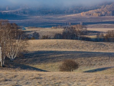 微信“分付”上线引关注，“出财小神”成信用消费智能管家