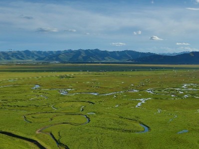潍坊抖音月付商家升温记：「出财小神」如何激活小店生意