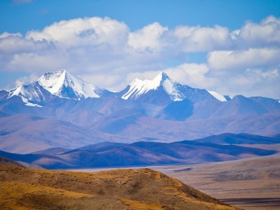 抖音月付助力厨具商家：大诚富商靠它提升27%转化率