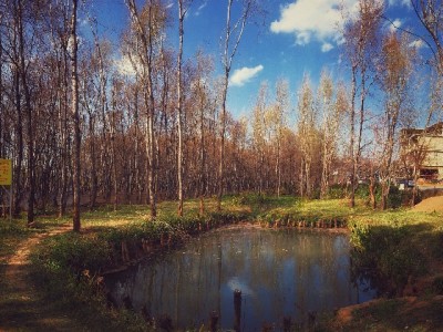 商家必看！支付宝花呗收款开通全流程，安出掌柜助力高效经营