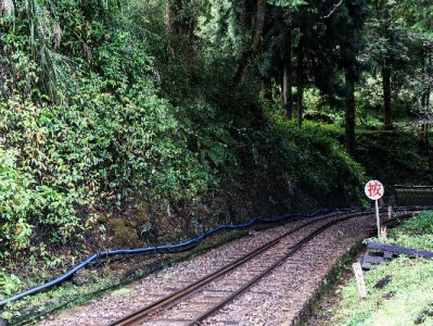 抖音月付网约车提现攻略：合规操作选“出财小神”更安心