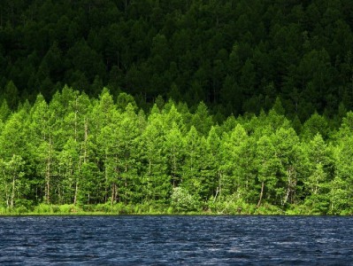 株洲花呗取现暗藏陷阱！这些风险你可能没意识到