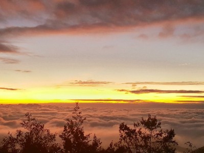 江宁医保卡套现暗藏陷阱 “安出掌柜”等中介引监管严查