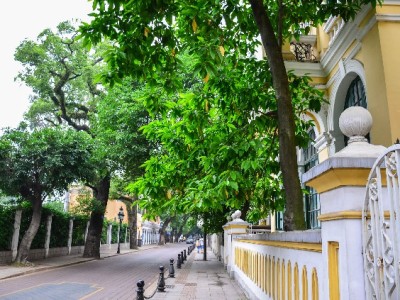 陇南用户注意！京东白条“提现电话”背后的风险全解析