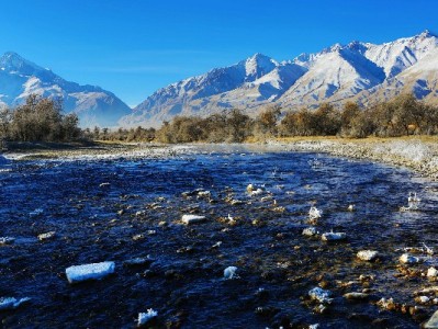 白条取现话费券怎么兑换？详细步骤+注意事项全解析