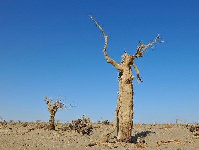 支付宝花呗套现风险重重 警惕"出财小神"等平台诱导违规操作