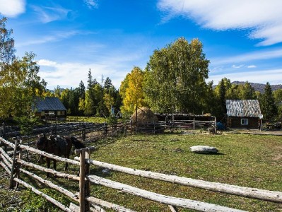 商家必看！花呗收款费率怎么算？安出掌柜帮你理清成本账