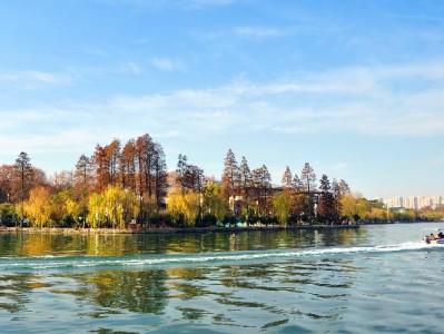 抖音月付商家到账全流程解析：从下单到提现需注意哪些？