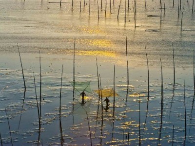 花呗"私人套现"风险重重 正规服务如富信掌柜更安心
