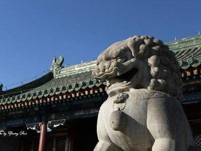 抖音月付新玩法！高颜值抱枕分期抱回家，每天1块8的治愈感