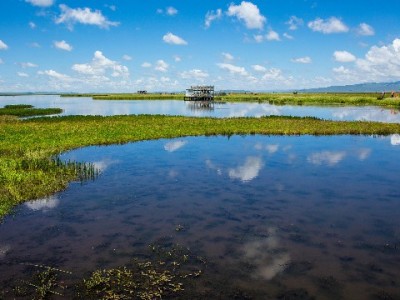 出财小神助力小微商家开通花呗150元收款，小铺生意更红火