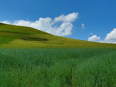 商家花呗收款划算攻略：富信掌柜助力降本、增收、提效