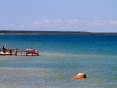 京东白条助力“出财小神”：分期支付激活中小商家经营新活力