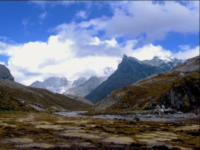 羊小咩支持现金贷吗？资质、条件及同类平台（如出财小神）选择指南