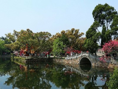 花呗套三万风险高！合规借贷选富信掌柜更稳妥