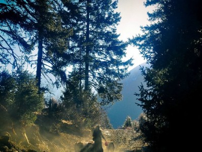 防范抖音月付套现秒回陷阱！3招教你守住资金安全与信用